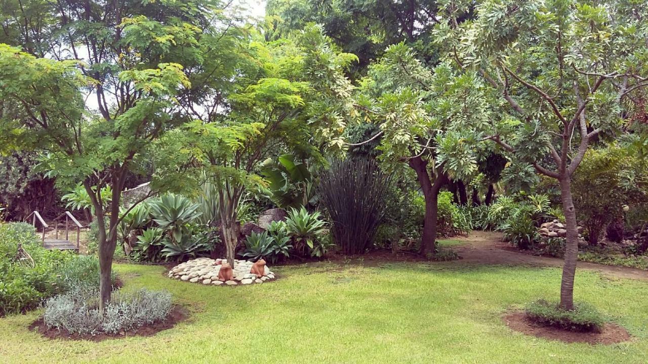 אדו Beyond Cui Bono Guesthouse מראה חיצוני תמונה