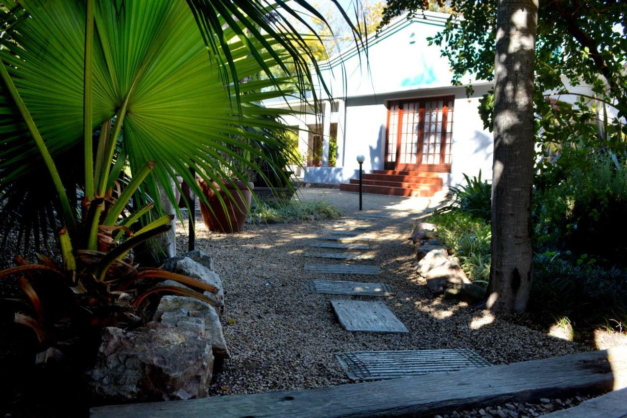 אדו Beyond Cui Bono Guesthouse מראה חיצוני תמונה