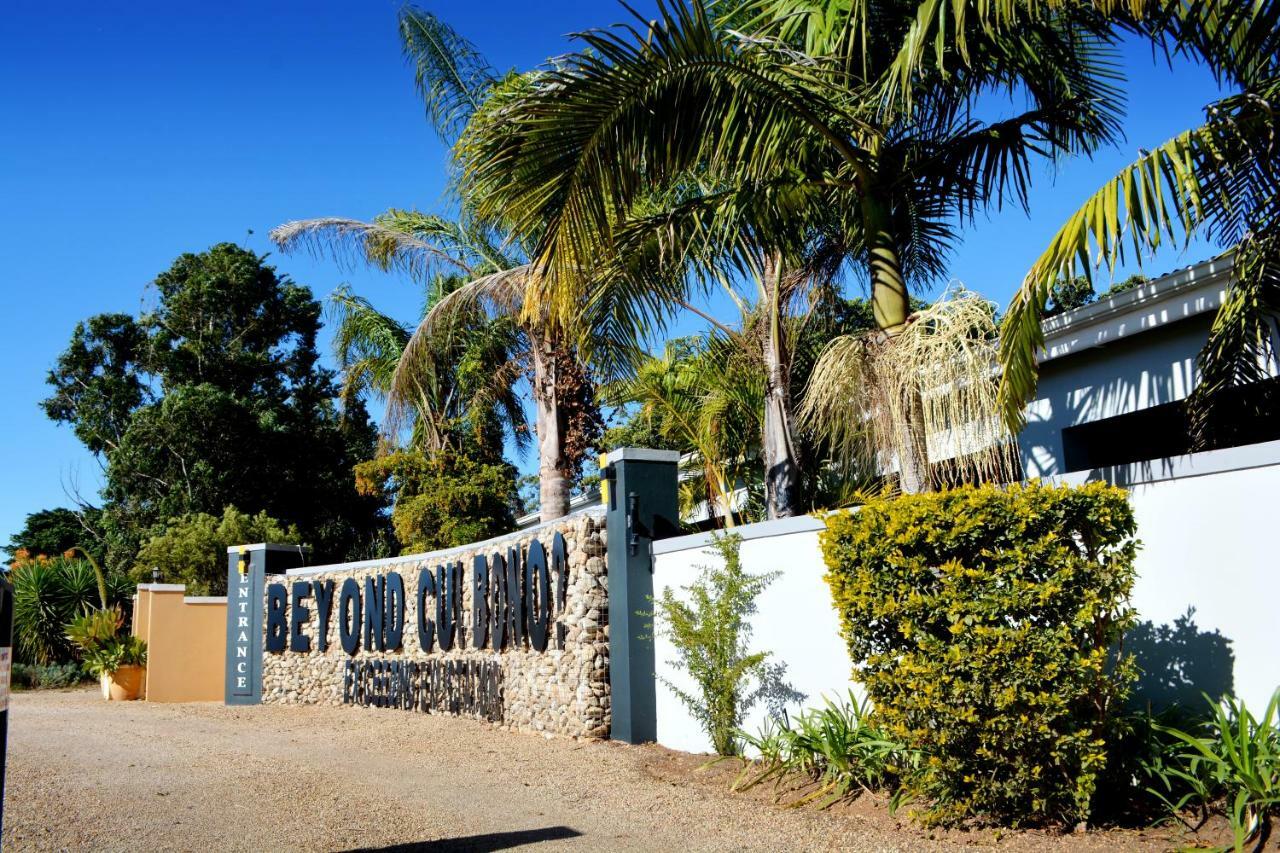 אדו Beyond Cui Bono Guesthouse מראה חיצוני תמונה
